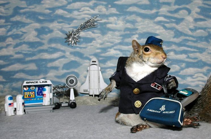 Squirrelspace