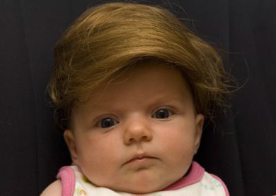 The-donald