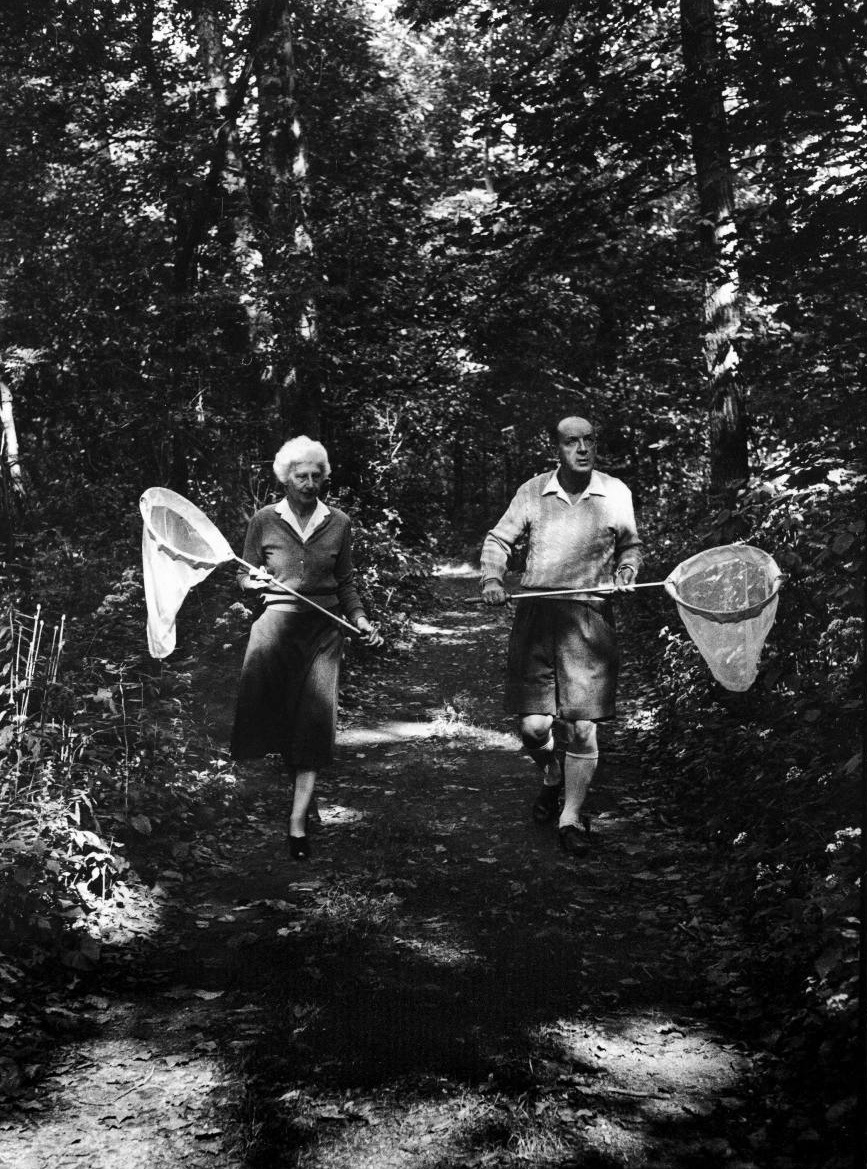 Vladverabutterflies