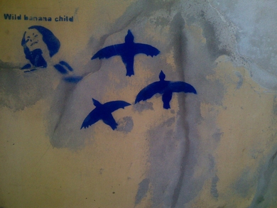Wild_banana_child