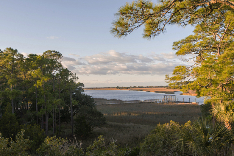11 Little Rabbit Lane Kiawah Island Real Estate