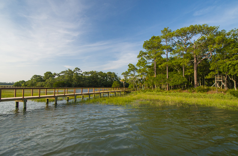 4 Little Rabbit Lane Kiawah Island Real Estate