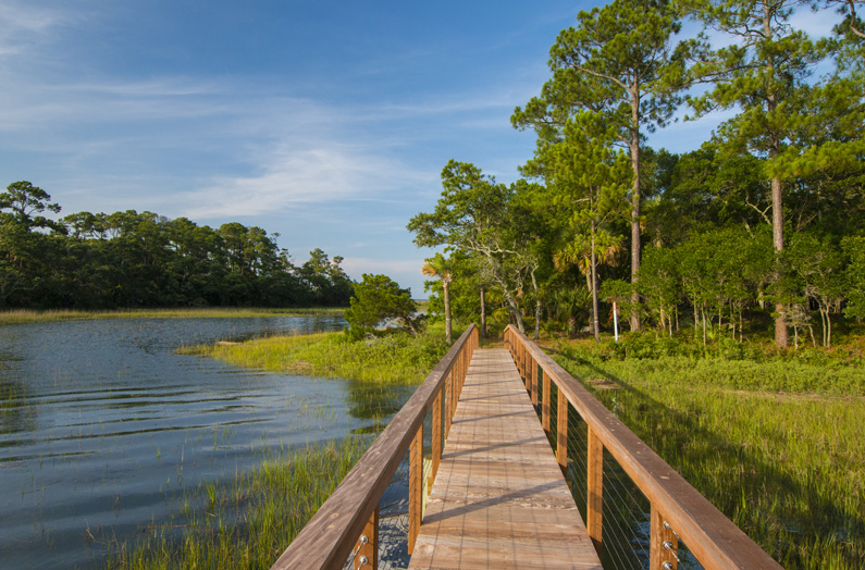4 Little Rabbit Lane Kiawah Island Real Estate