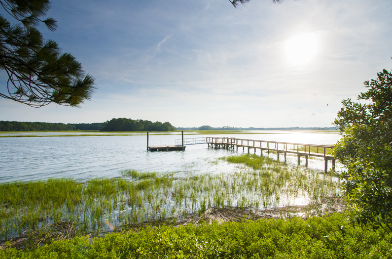 4 Little Rabbit Lane Kiawah Island Real Estate