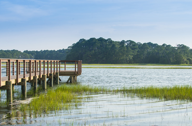 4 Little Rabbit Lane Kiawah Island Real Estate