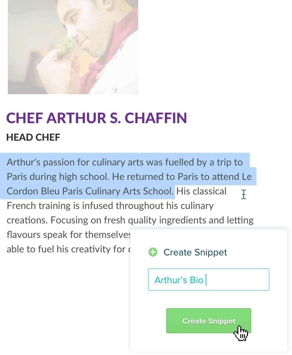 snippets