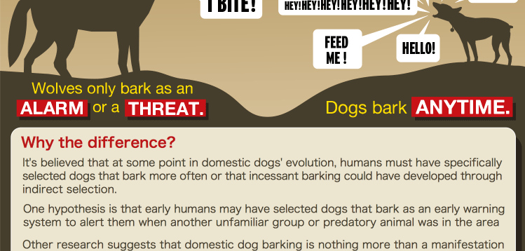 Dog bark infographic 2