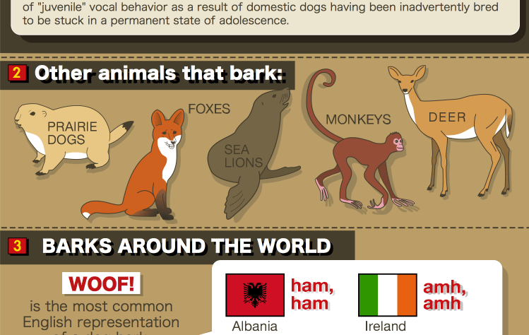 Dog bark infographic 3