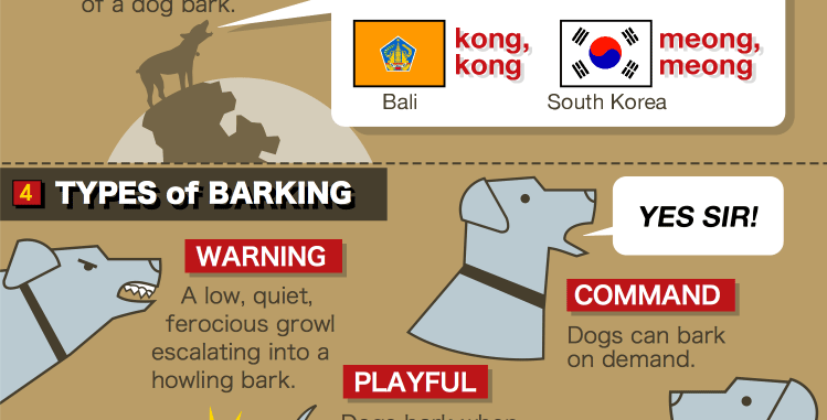 Dog bark infographic 4