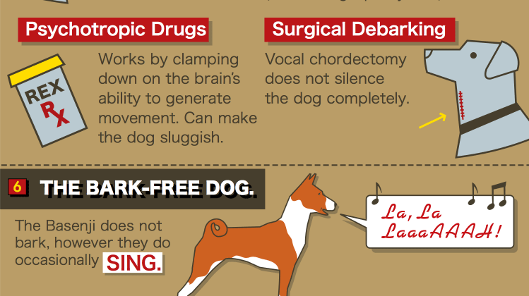 Dog bark infographic 6