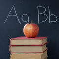 Shutterstock2_3131245