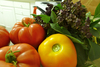 Tomatoes-dmm