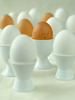 Eggs%20