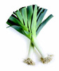 Leek