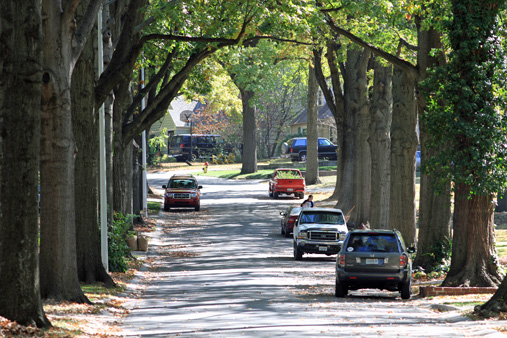 Branch_Trimming_Prairie_Village