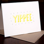 Yippee_20111111-1741_12