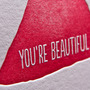 You'rebeautiful_20120114-0198