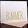 Bummer_20120302-0534
