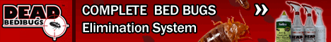 Bed Bugs
