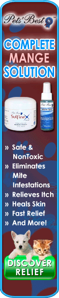 How to get rid of mange mites for humans | eHow UK