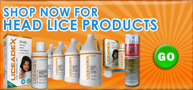 Click here to shop for affordable and extremely effective head lice products