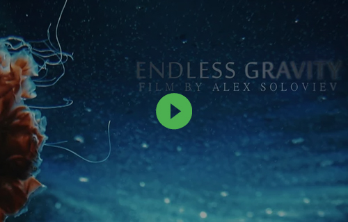 First Page Builder for WordPress & Joomla