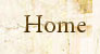 Discoveryourpast logo