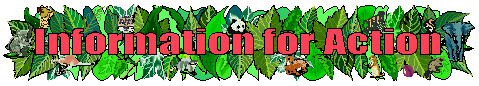 Informaction logo