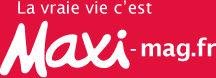 Maxi-mag logo