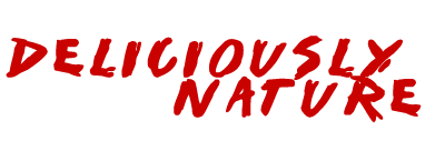 Metabolismfoods logo
