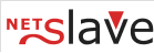Netslave logo
