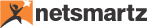Netsmartz logo