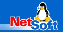 Netsoft logo