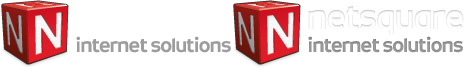 Netsquare logo