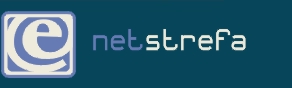 Netstrefa logo