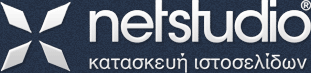 Netstudio logo