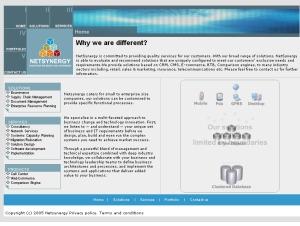 Netsynergy screenshot