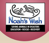 Noahswish logo