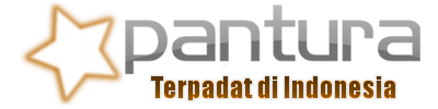 Pantura logo