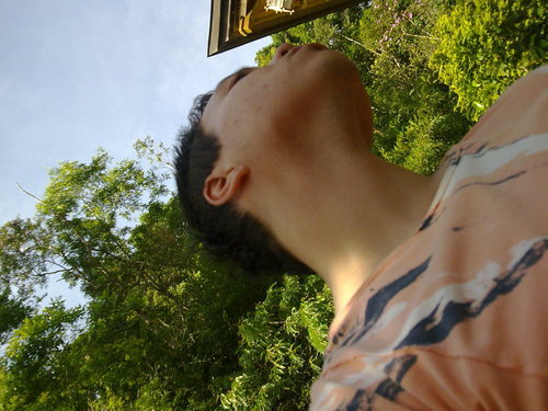 robson harada
