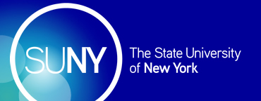Suny logo