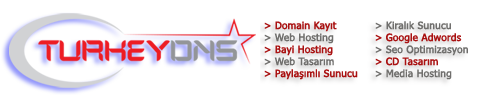 Turkeydns logo