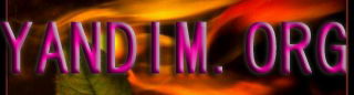 Yandim logo