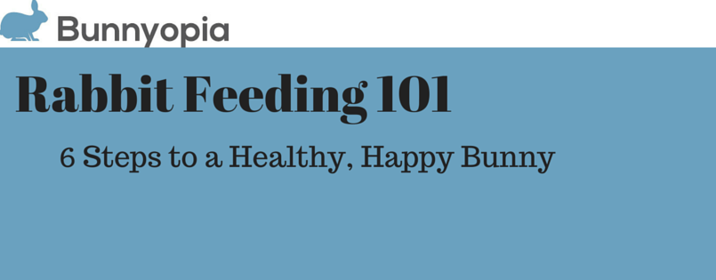 Rabbit Feeding 101 Banner