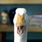 AFLAC duck