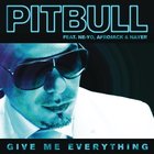 Pitbull Everything