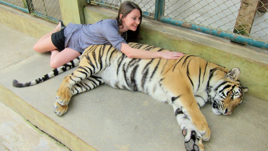 Large Animal Vet at emaze Presentation