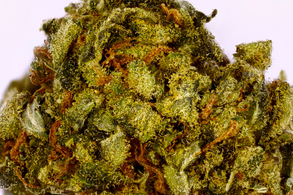 To the kush / Smoke kush Sourdeezal Lyrics Meaning