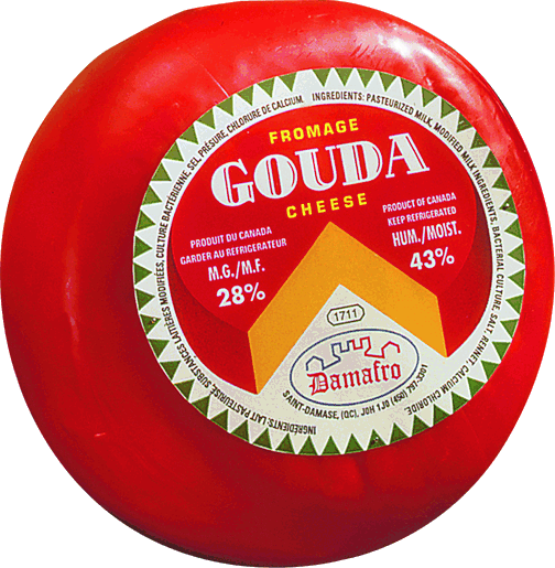 gouda définition C'est quoi