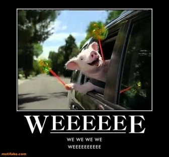 1362459437_weeeeeeeeee-little-pig-geico-
